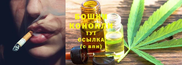 молекула духа Белоозёрский