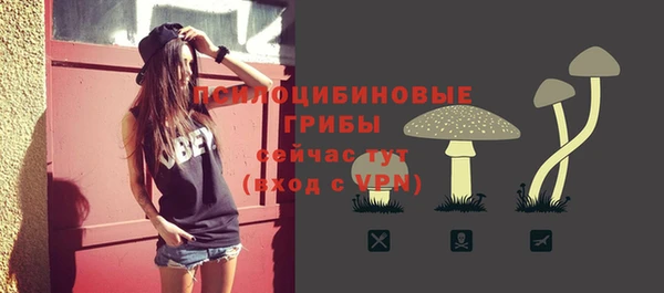 mdpv Беломорск