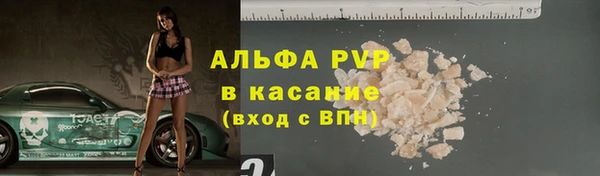 молекула духа Белоозёрский
