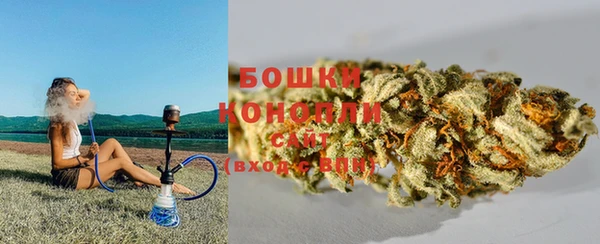 кокс Белокуриха