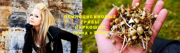 кокс Белокуриха
