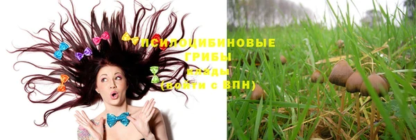 молекула духа Белоозёрский