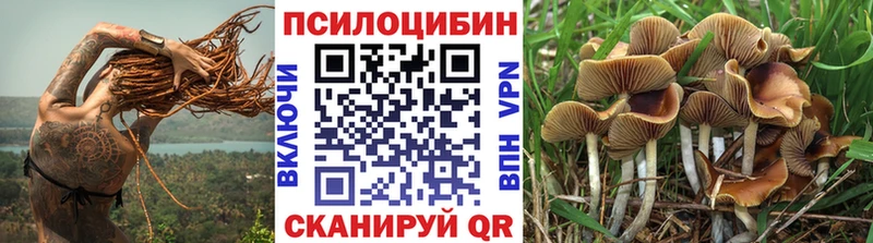 Галлюциногенные грибы Psilocybine cubensis  маркетплейс наркотические препараты  Гатчина 