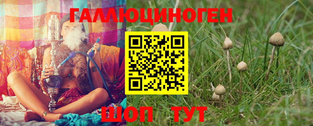 Галлюциногенные грибы Magic Shrooms Гатчина