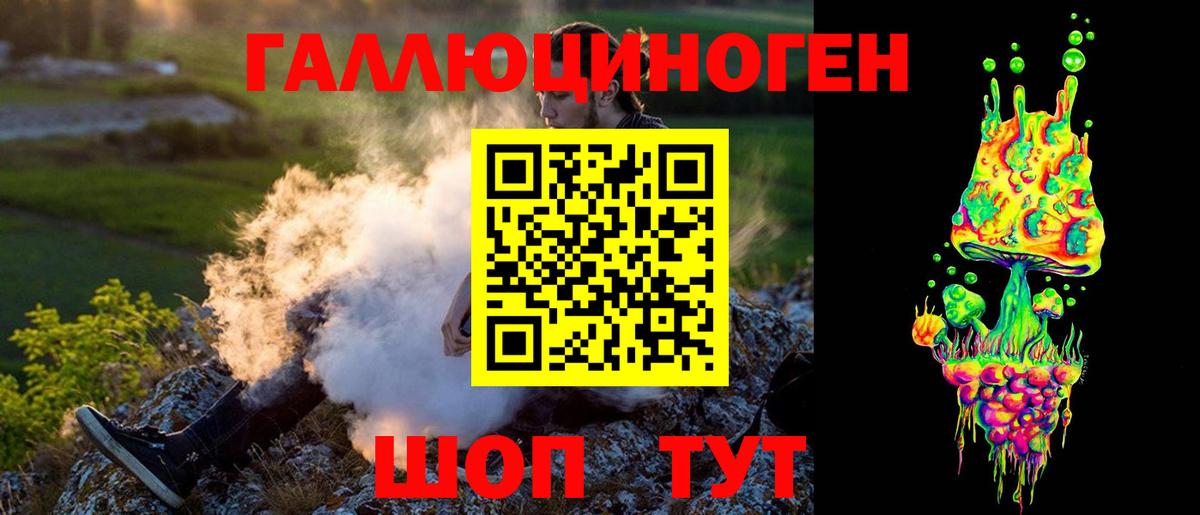 Псилоцибиновые грибы мицелий Гатчина