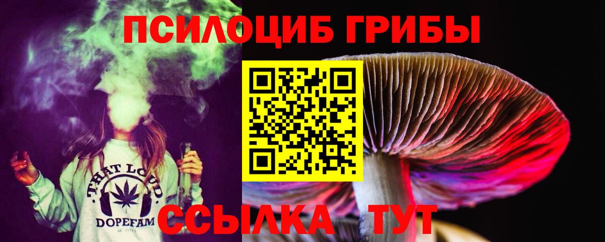 Псилоцибиновые грибы ЛСД  Псилоцибиновые грибы ЛСД  Вход с VPN  Гатчина 
